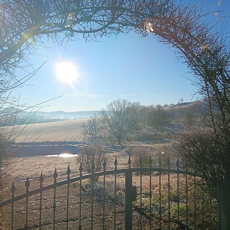 Pension Freudenthal Wandersleben Bagian luar foto