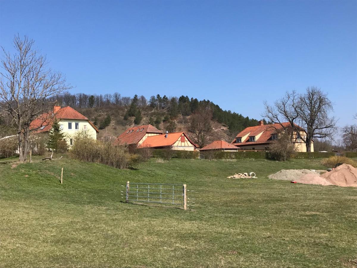 Pension Freudenthal Wandersleben Bagian luar foto
