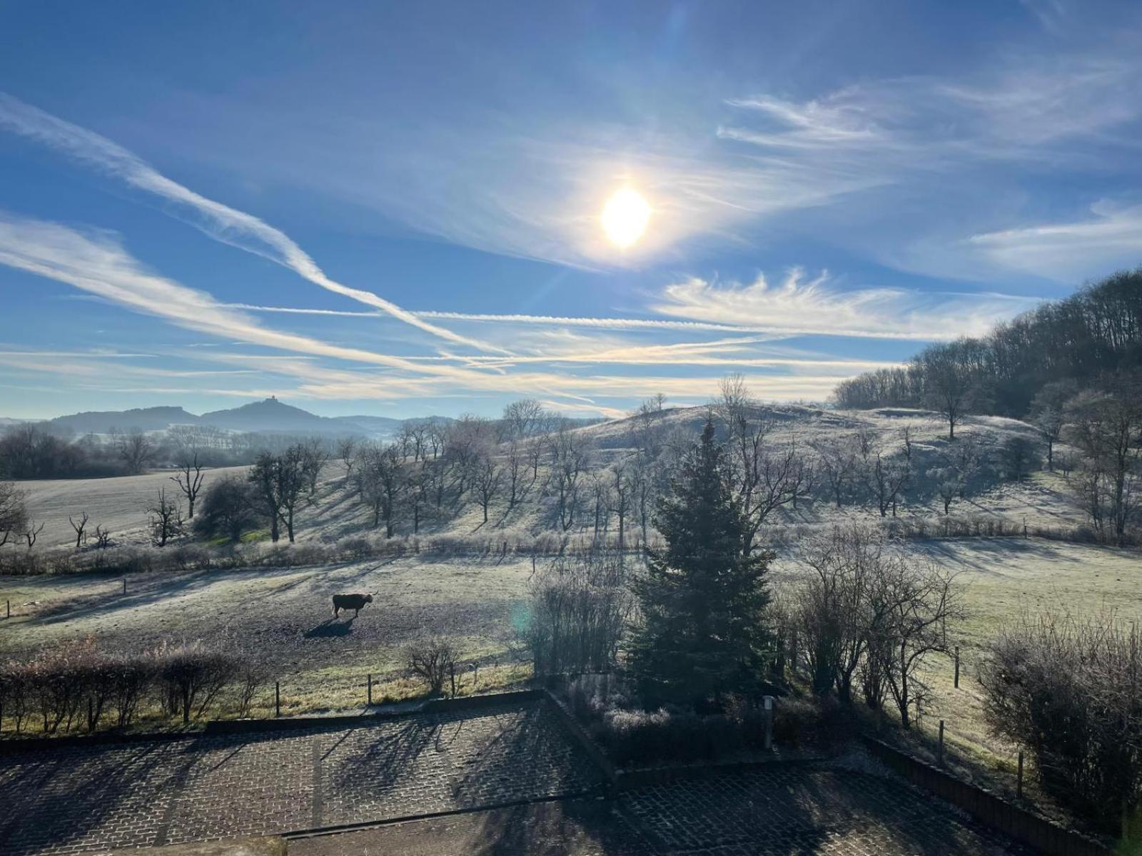 Pension Freudenthal Wandersleben Bagian luar foto